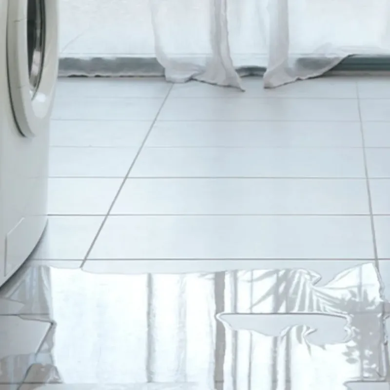 Appliance Leak Cleanup in Sterling County, TX
