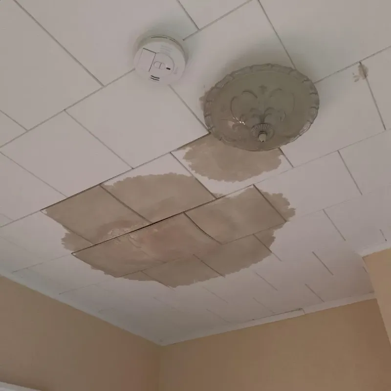 Ceiling Water Damage Repair in Sterling County, TX