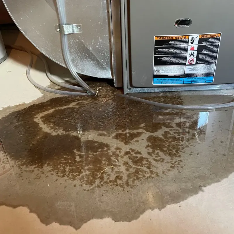 Pipe Burst and Leak Restoration in Sterling County, TX