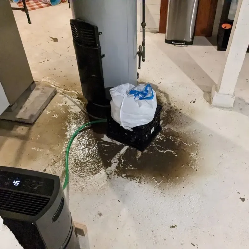 Sewage Backup Cleanup Service in Sterling County, TX